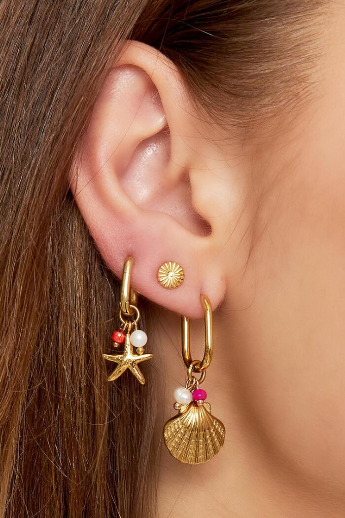 Boucles d'oreilles pendantes coquillage - Collection Plage Argenté Acier inoxydable Image3
